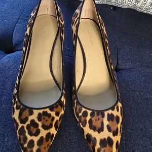 Ann Taylor Leopard-Print Pointed Flats in Brown and Black